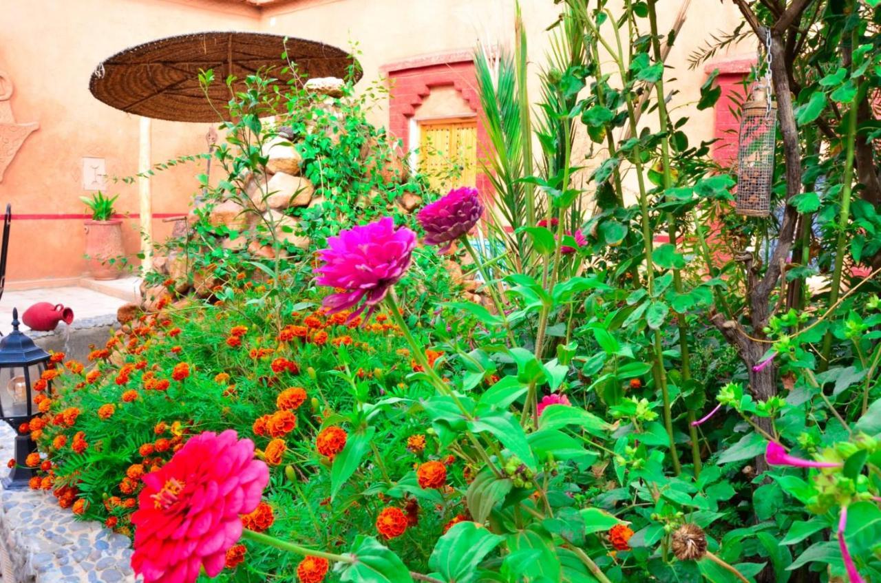 Kasbah Tussna Hotel Boumalne Dades Ngoại thất bức ảnh
